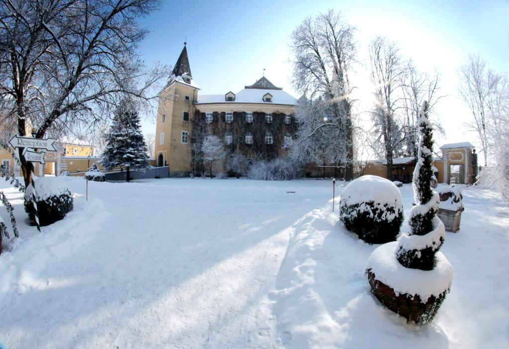 Schloss Muehldorf Фельдкирхен-на-Дунае Экстерьер фото