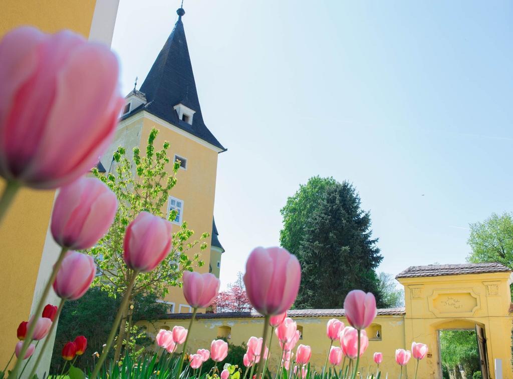 Schloss Muehldorf Фельдкирхен-на-Дунае Экстерьер фото